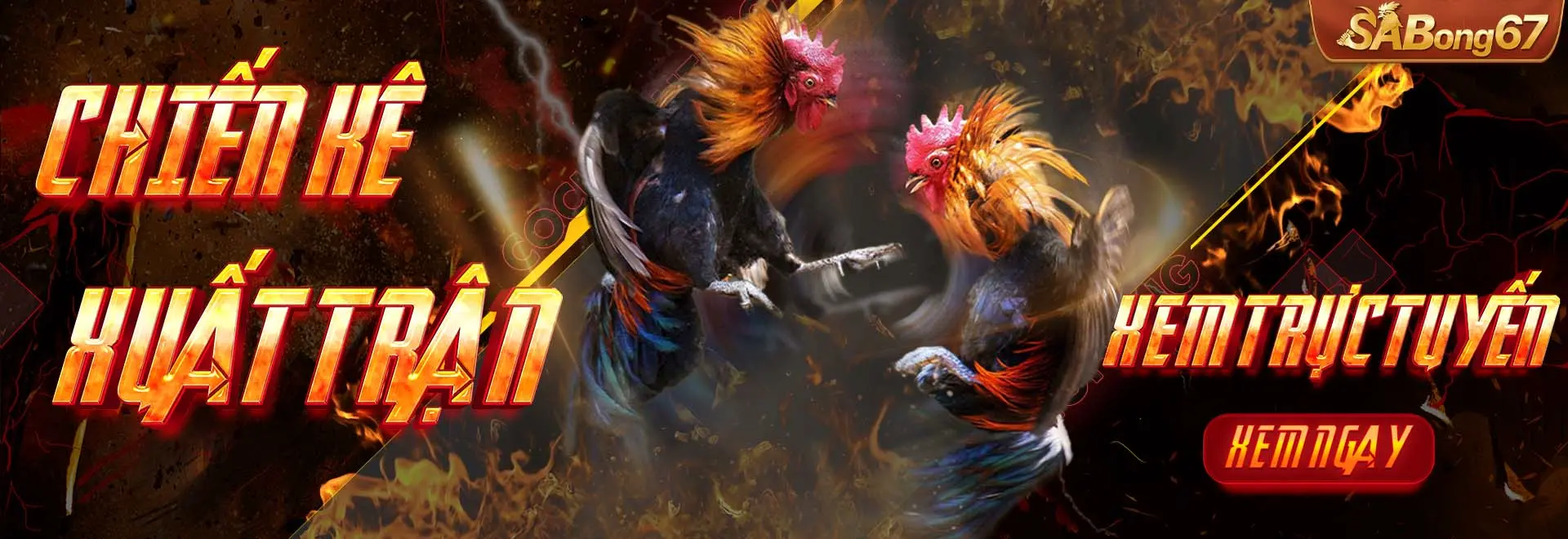 SABONG67 - Banner