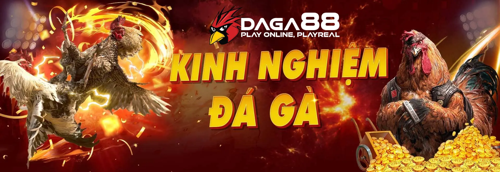 DAGA88 - Trải Nghiệm Đá Gà Đẳng Cấp