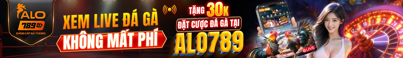 ALO789 - Xem Đá Gà Trực Tiếp