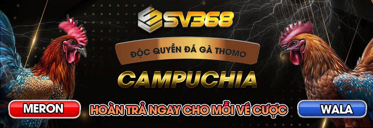 SV368 Trải Nghiệm Độc Quyền Đá Gà Thomo